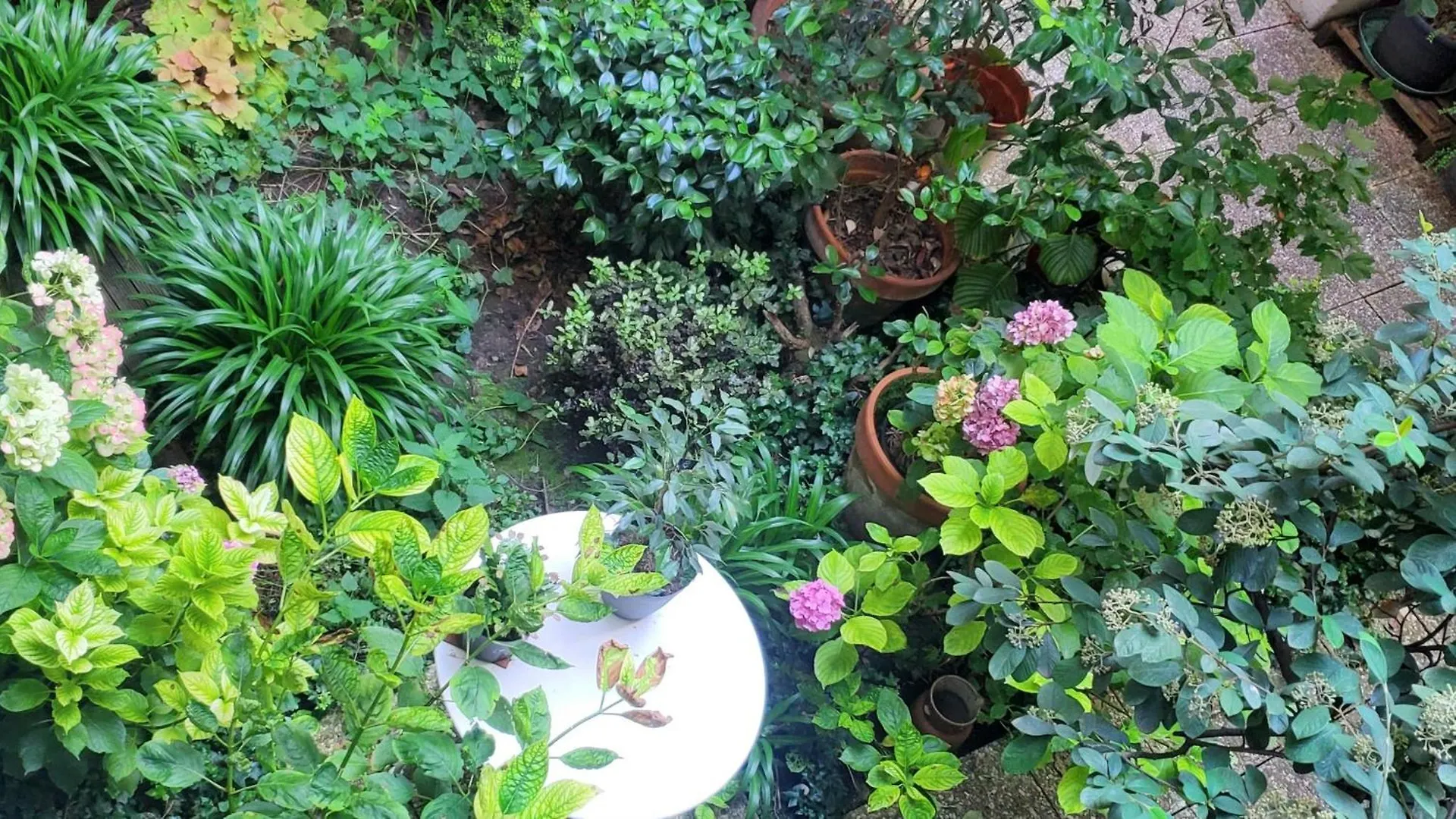 Une Chambre A Paris 20Eme Avec Un Petit Jardin Francia
